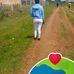 Diana Brain - Facebook