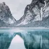dianabui - @dianabui81 - TikTok