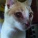Diana Calvert - Facebook