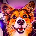 Diana Calvert - @cookiethesmilingcorgi - Instagram
