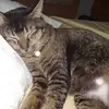 Diyana - @dianaachis - TikTok