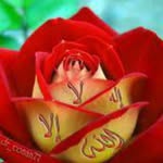 diana clement - @dianaclement65 - Instagram