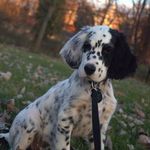 Diana Lynn Nelson Clements - @dianalynnclements - Instagram