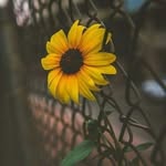 Dina - @diana_cloud - Instagram