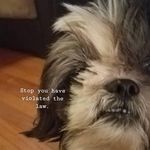 Diana Coco - @ju.nko8502 - Instagram