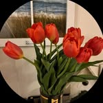 Diana Collison Smit - @diana_collison_smit - Instagram