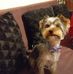 Diana Coman - Facebook