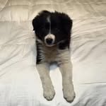 Diana Conner - @conner.diana - Instagram