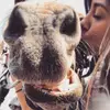 Diana.Cooley - @gebernvat27 - TikTok