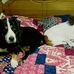 Diana Corey - Facebook