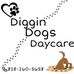 Diana Corey - Facebook