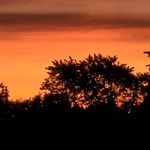 Diana Cornwell Davis - @diana.c.davis.79 - Instagram