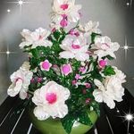 Diana craft - @dianacraft_bekasi - Instagram