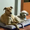 diana cuartas - @diana.cuartas3 - TikTok