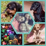 Diana Jinadari Delay Perera - @dianajinadaridelayperera - Instagram