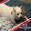 dianedevault1 - @dianedevault1 - TikTok