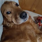Dana Dodd - Facebook