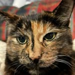 Diana Durham - @diana.durham.70 - Instagram