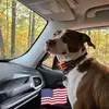 Diana Eads - @diana.eads - TikTok