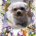 Diana Easterday - Facebook