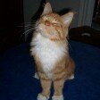 Diana Eberhardt - @dianaeberhardt7 - Instagram