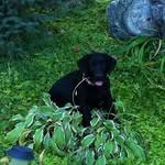 Diana Ebert Anderson - @dianaebertanderson - Instagram