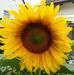 Diana Eberth - Facebook