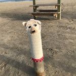 Diana Eck - @eck4450 - Instagram