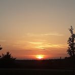 Diana Eckert - Facebook