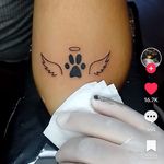 Diana Eckhardt-nieves - @catdine8491 - Instagram