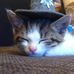 Diana Ehrhardt - Facebook