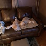 Diana Engle - @engle157 - Instagram
