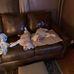 Diana Engle - Facebook