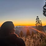 Diana Falcón - @didi_falcon - Instagram