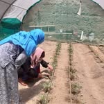 Diana Farhat - @diana.farhat.520 - Instagram