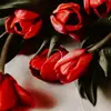 user1234567890 - @dianafarhatova02 - TikTok
