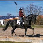 Diana - @diana_ferrell_fichtelmann - Instagram