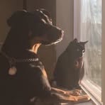 Diana Fields - Facebook
