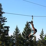 Diana Lepin Forrest - @dianaforrest - Instagram