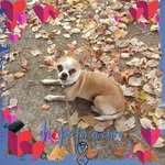 Diana Frame - @diana.frame.9 - Instagram