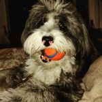 Diana Gerhardt - @diana_caggiano_gerhardt - Instagram