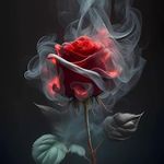 Diana Gilbert - @noordiyanaaqilah - Instagram