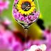 Diana Goodwin - Facebook