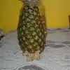Diana Gordon - @diana.gordon7 - TikTok