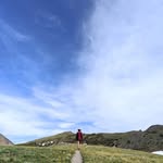 Diana Grubb - @dsgrubb - Instagram