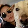 Diana Hare - @dianahare - TikTok