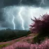 Diana Heather - @dianaheather800 - TikTok