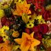 Diana Hendricks - Facebook