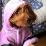 Diana Herbert - @dianaherbert45 - Instagram