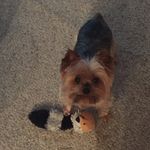 Diana Holder - @dholder1026 - Instagram